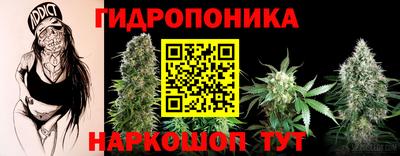 кокс Шелехов
