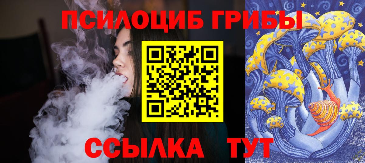 Псилоцибиновые грибы прущие грибы  Вход с VPN  купить   Луга 