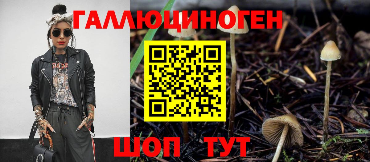 Галлюциногенные грибы Psilocybe Луга